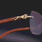 Paskhali Premium Panther Gold Edition Luxury Sunglasses – Wood Frame