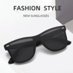 RayBan Classic Polarized Sunglass
